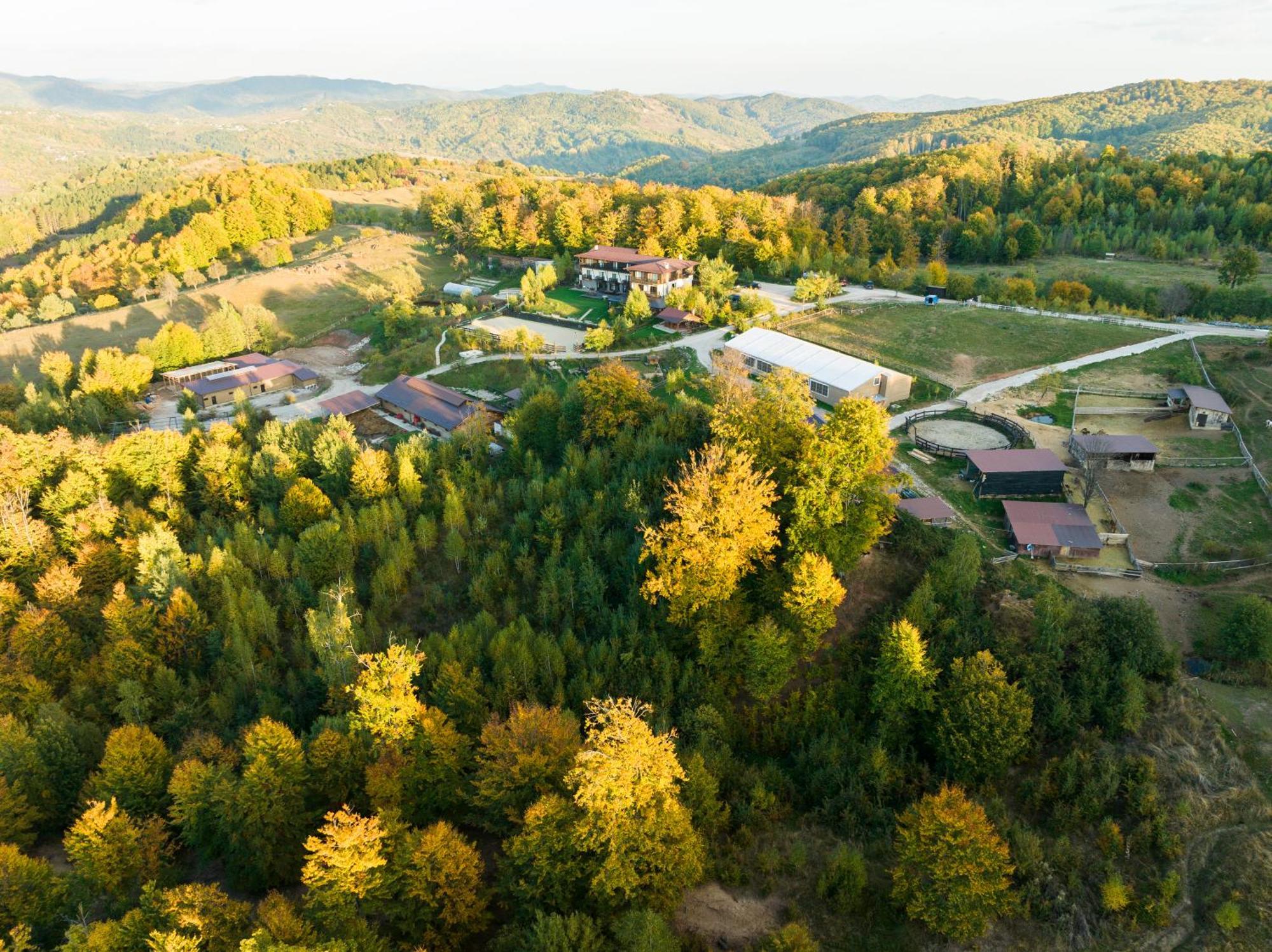 Potcoava Mountain Hideaway Hotel Runcu  Exterior photo